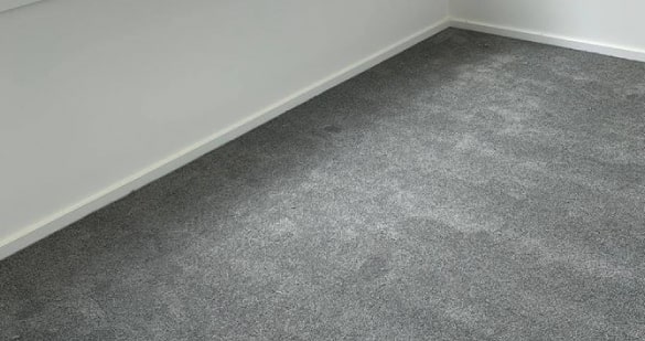 carpet cleaning surry hills